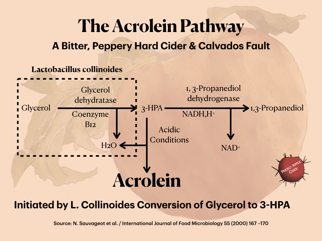 Acrolein Pathway