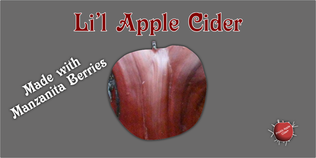 Making Li’l Apple Cider