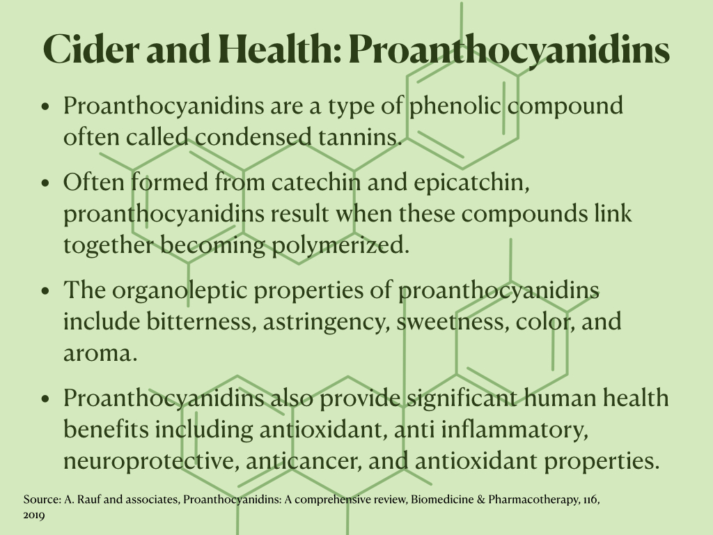Proanthocyanidins Characteristics