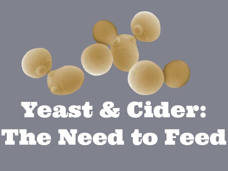 Cider Question: Do I need to use yeast nutrient?