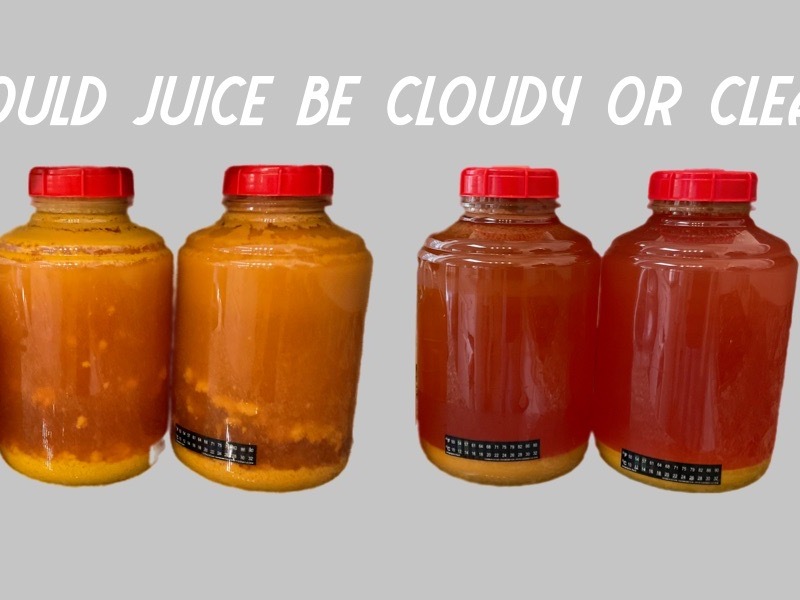 Cider Question: Should my juice be clear or cloudy?