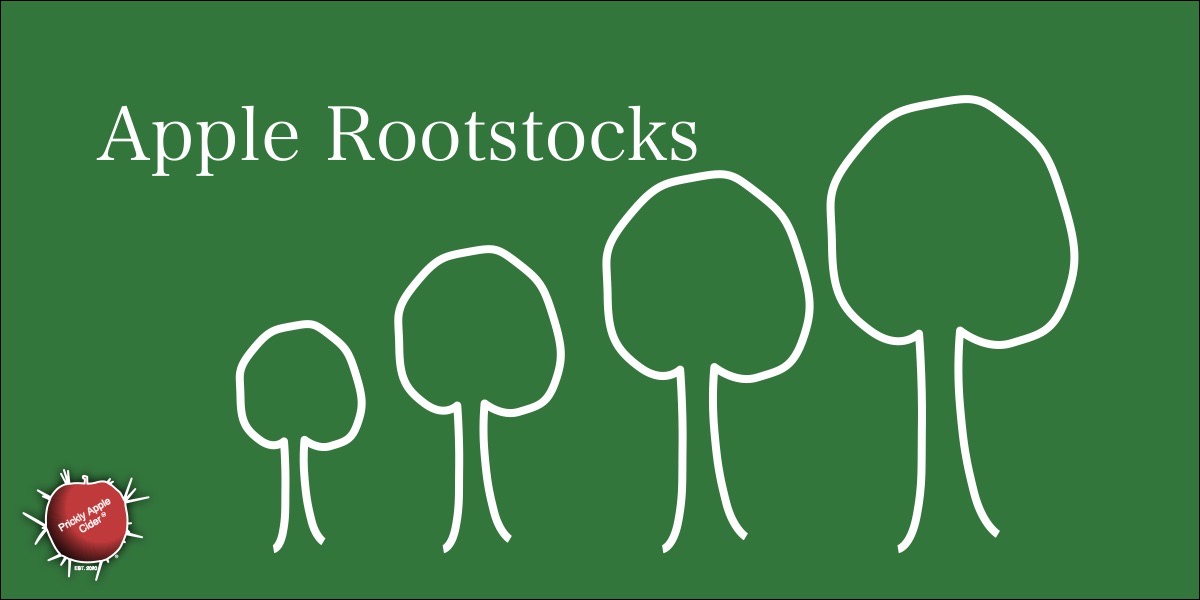 Orchards: Apple Rootstock