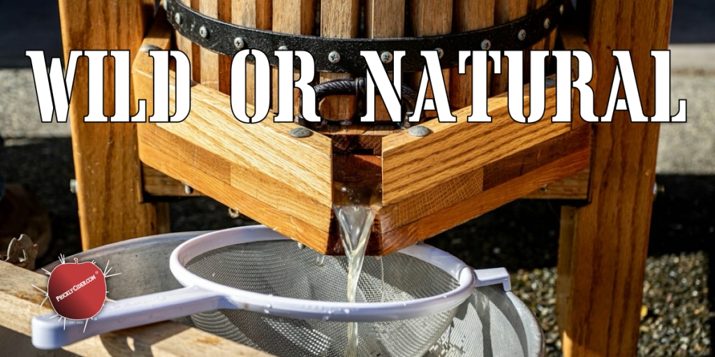 Cider Musings:  Wild or Natural